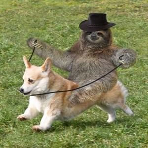 Meet your Posher, Sandi